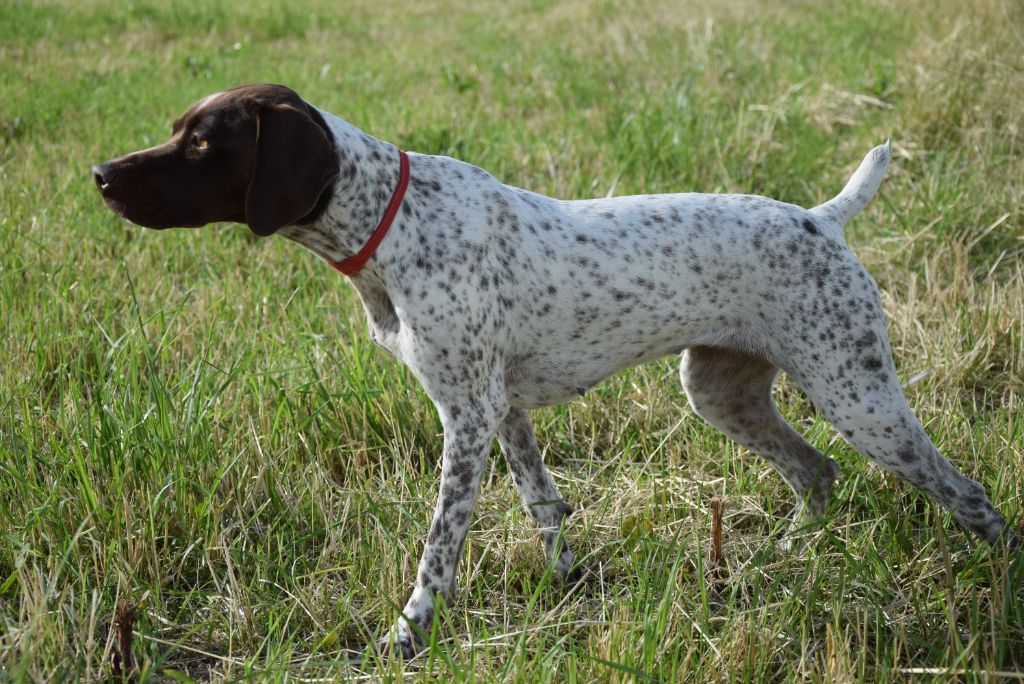 TR. O'la du domaine de saint louis