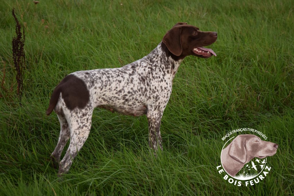 Verena du Bois Feuraz