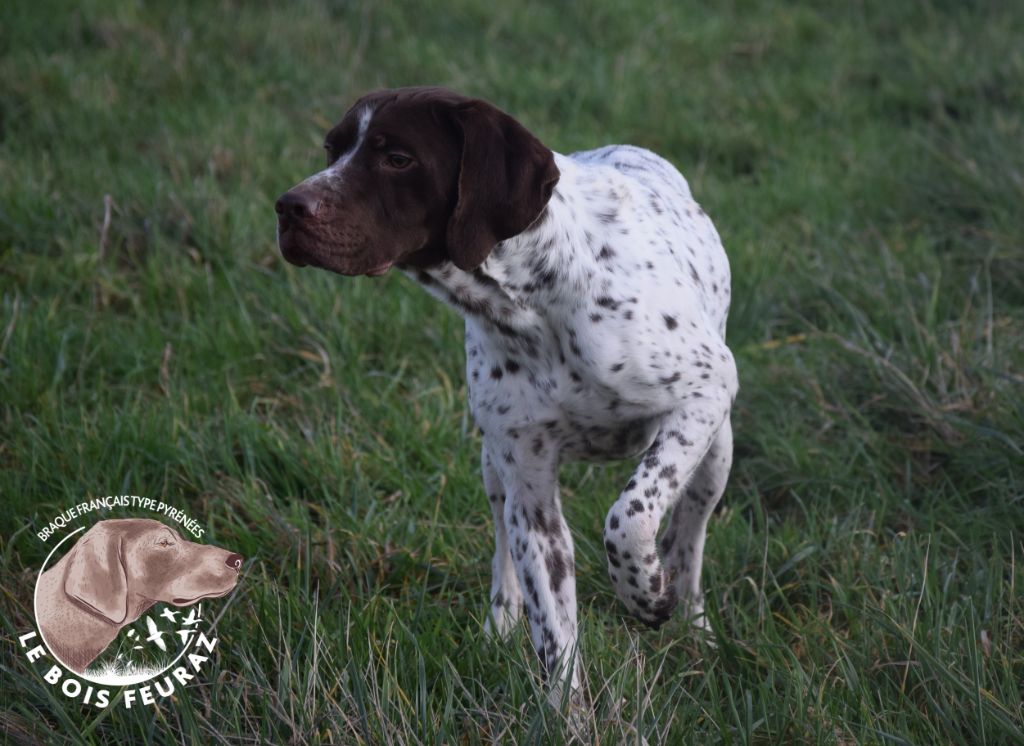 TR. Samir du Bois Feuraz