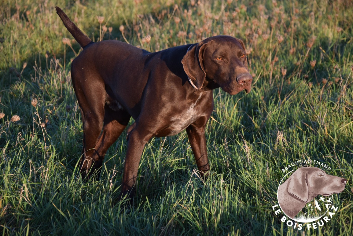 TR. UMAR du Bois Feuraz