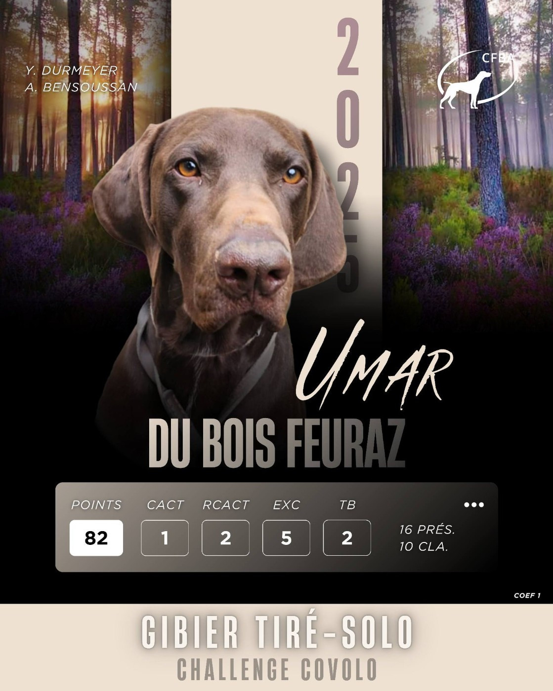 UMAR DU BOIS FEURAZ - VAINQUEUR 2025 CLASSEMENT GIBIER TIRE